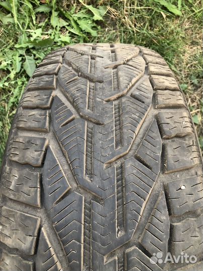 Tigar SUV Winter 215/65 R17 99V