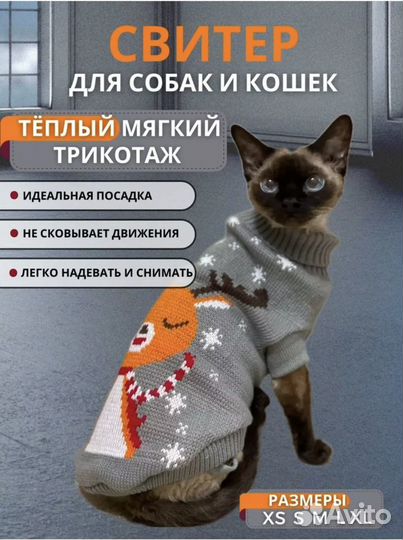 Одежда для кошек и собак