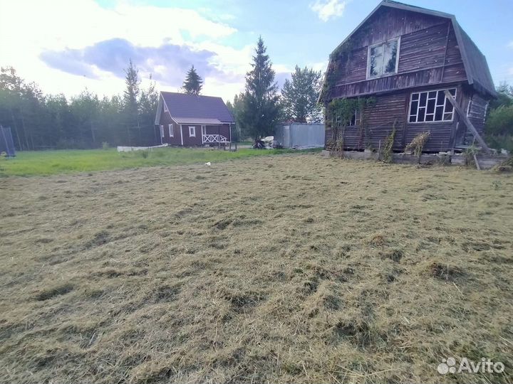 Услуги косить траву