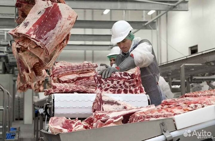 Готовый бизнес ищет займ, доход 19306 в месяц