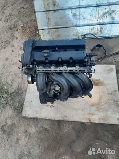 Двигатель Форд Фокус 2 рестайлинг 1.6 shda 2011 г