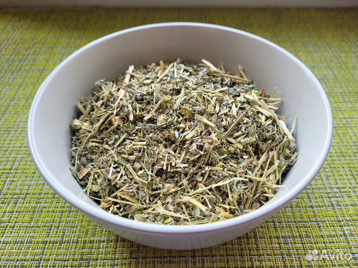 Трибулус террестрис (Tribulus terrestris)