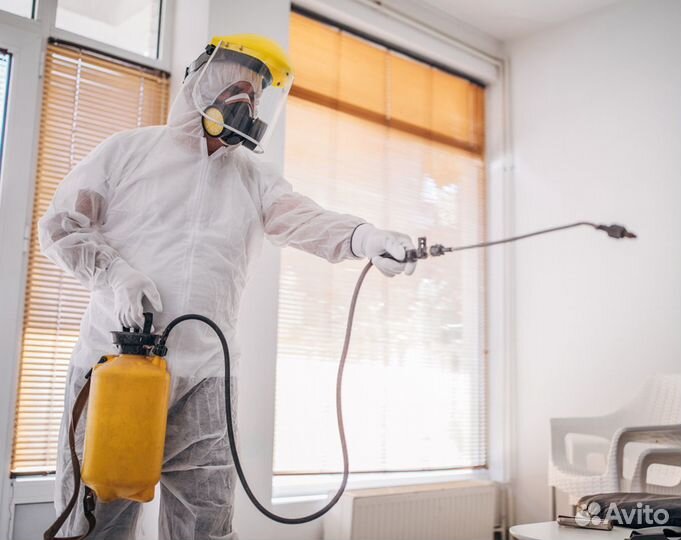Уничтожение Клопов, тараканов, Дезинфекция