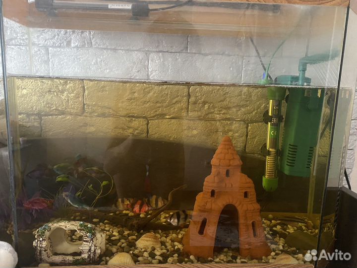 Аквариум