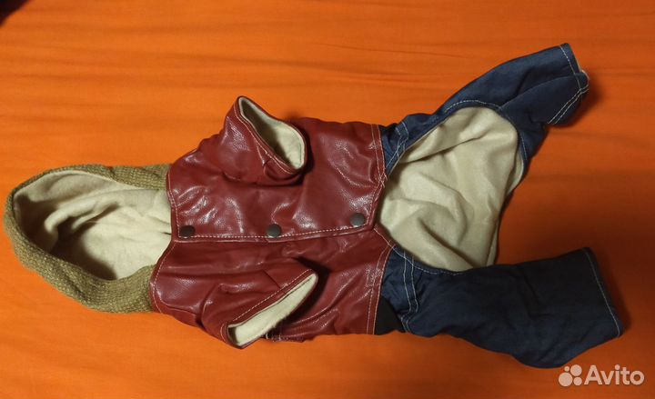 Одежда для маленькой собаки