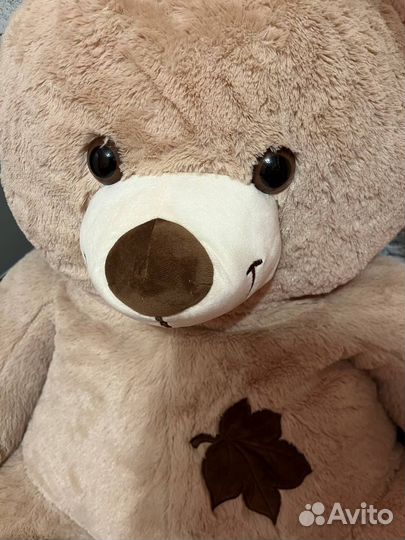 Плюшевый медведь