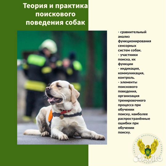 Теория и практика поискового поведения собаки