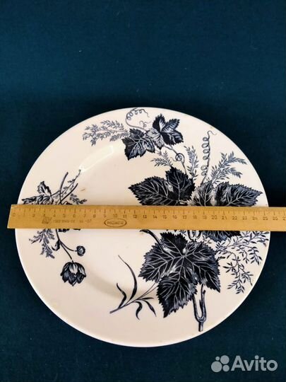 Тарелка Кузнецов в Твери