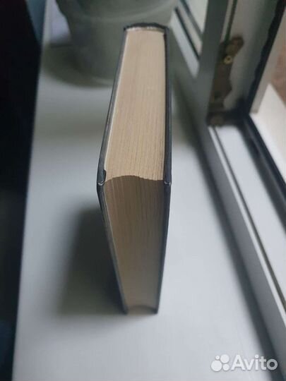 Т. Гудкайнд Воин по зову сердца