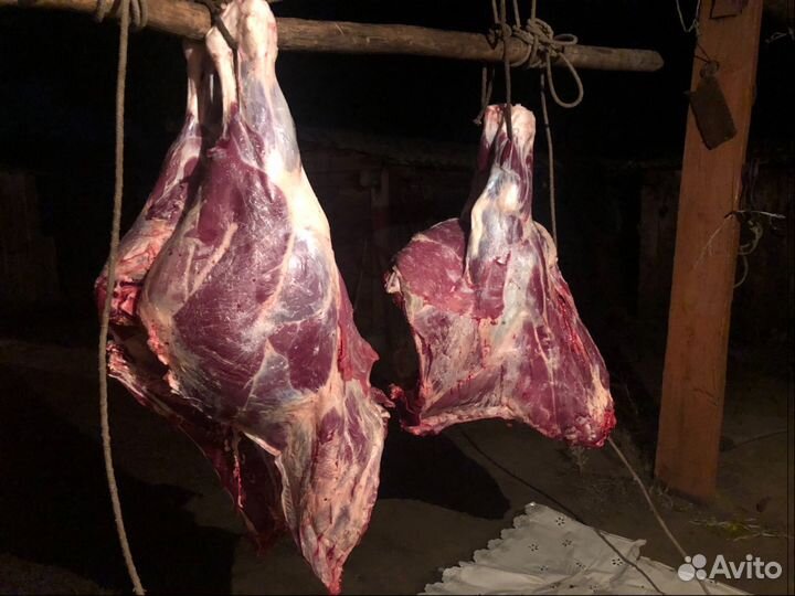 Мясо молодой телятины забой 20августа