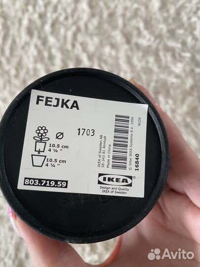 Искуственное растение IKEA