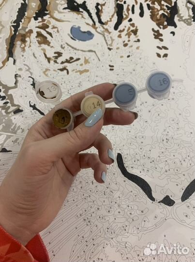 Нарисую картинк по номерам