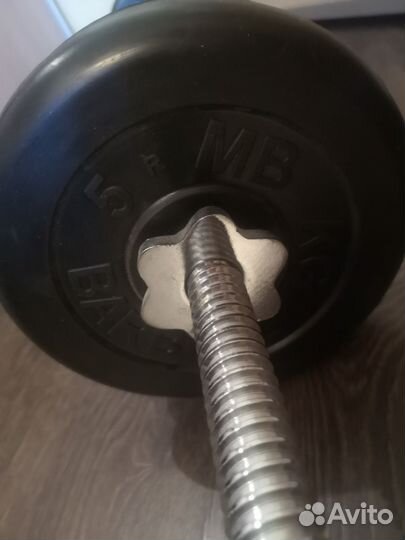 Штанга с блинами