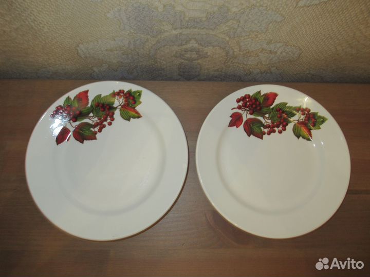 Тарелки из СССР