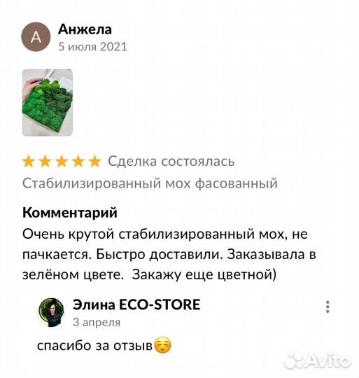 Панно из мха микс видов и цветов