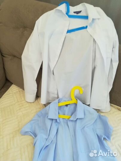 Рубуха школьная