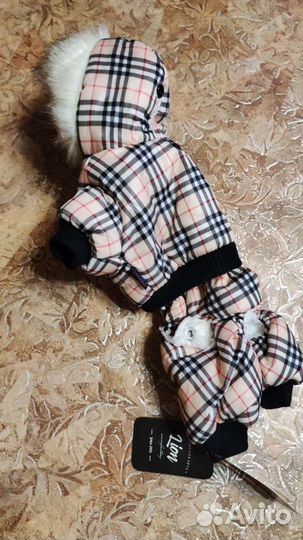 Одежда для маленьких собак