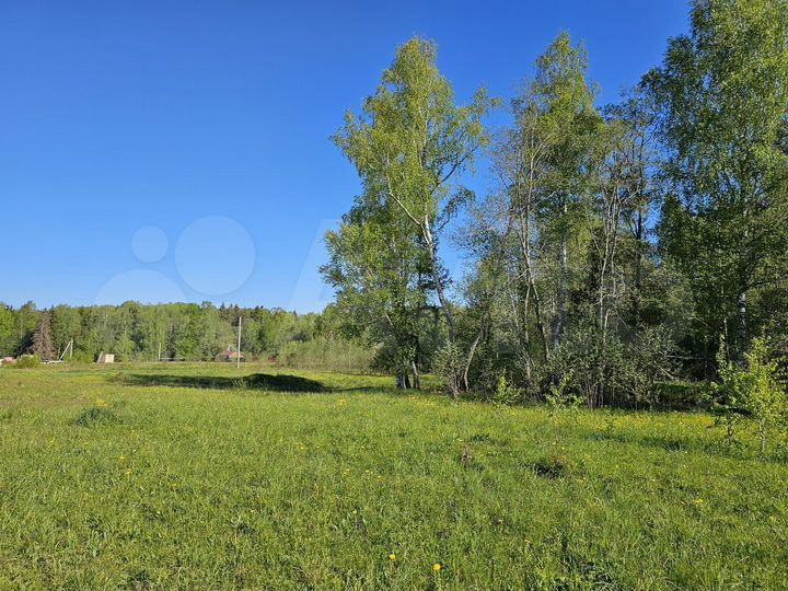 Участок 9 сот. (СНТ, ДНП)