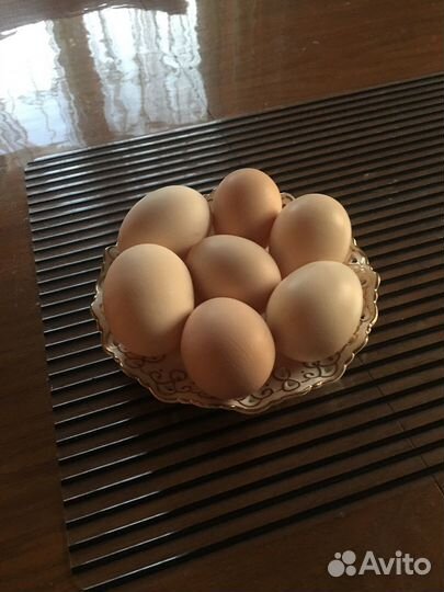 Домашние куриные яйца