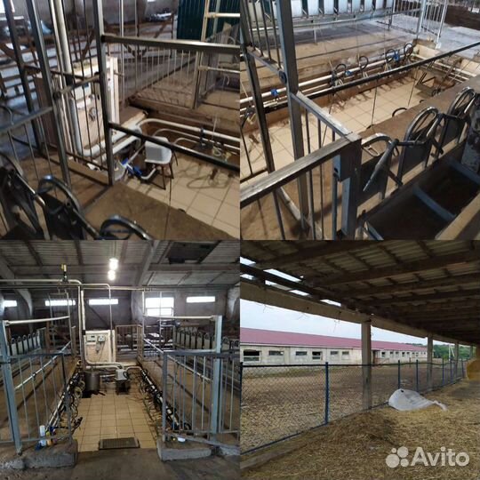 Козья ферма - Сыроварня