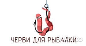 Снасти для рыбалки