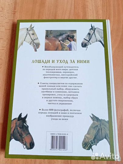 Подарочная книга про лошадей