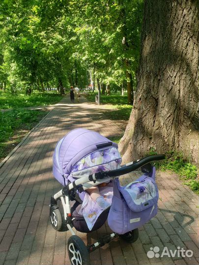 Коляска Adamex Barletta 3 в 1