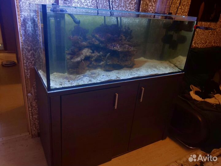 Аквариум 500 литров морской