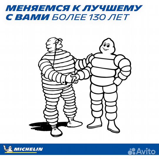 Michelin Pilot Alpin 5 SUV 285/40 R22 110V