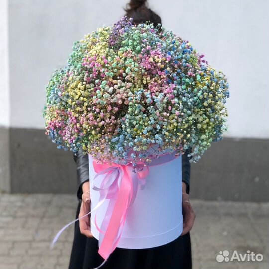 Гипсофила Букет Цветы