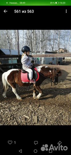 Конный клуб 