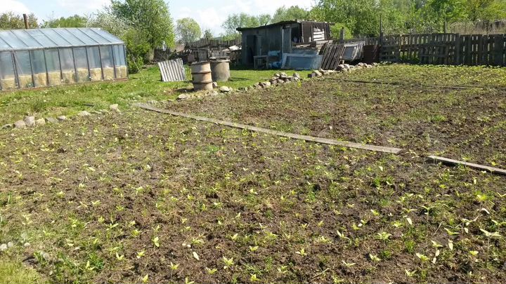 Участок 7 сот. (СНТ, ДНП)