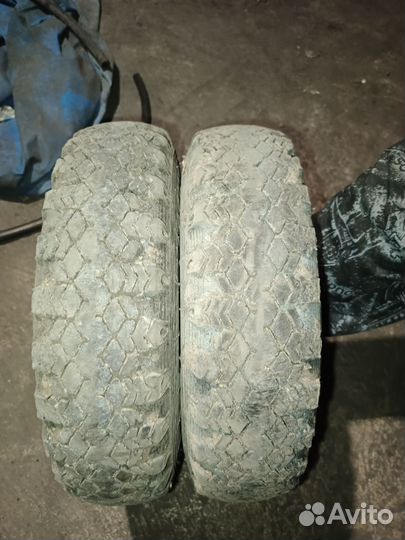 Алтайшина В-19А 5/5 R10