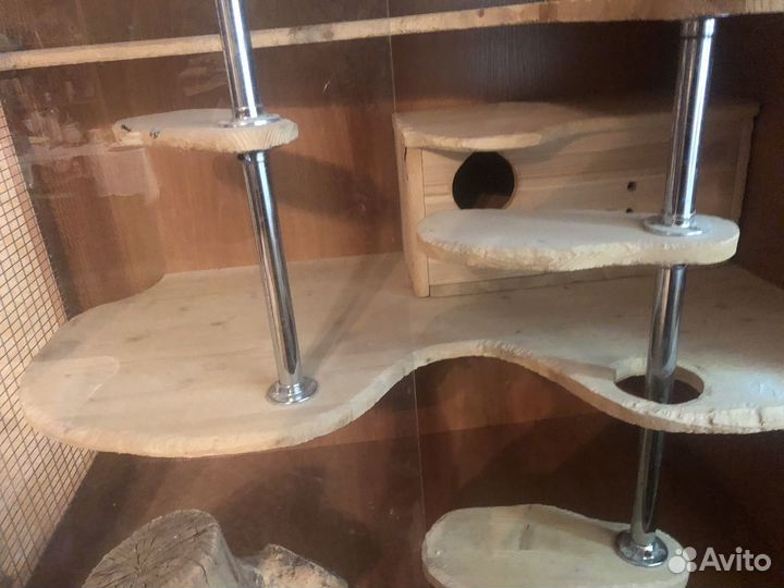 Витрина, клетка для шиншилл и других грызунов