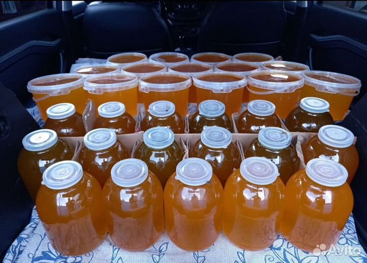 Мед, мёд свежий 2024г