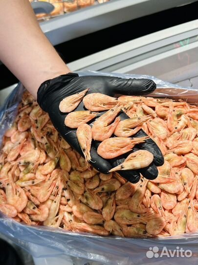 Креветка северная 5 кг