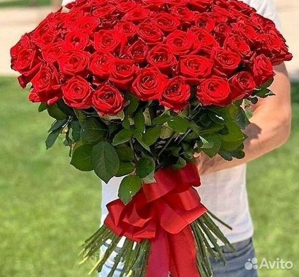 Высокие розы Гигантские розы 110