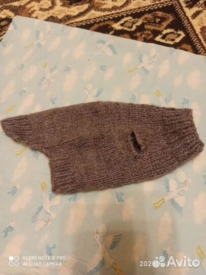 Кофта для котенка