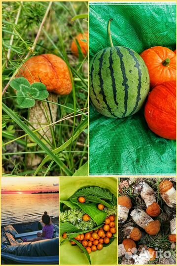 Монтаж видео. Семейные фильмы,видеоролики,слайдшоу