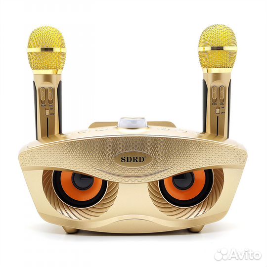 Караоке система sdrd SD-306 20Вт. Золото