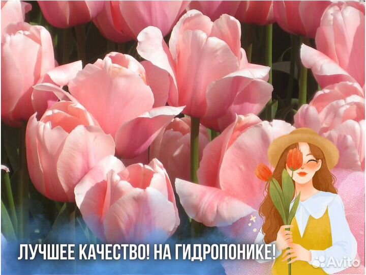 Тюльпаны оптом к 8 марта