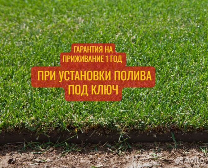 Рулонный газон Премиум Спорт Футбольный под ключ