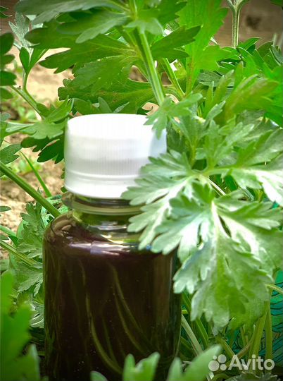 Масло полыни