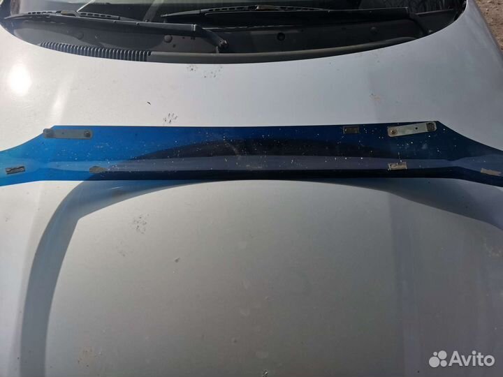 Мухоотбойник калина