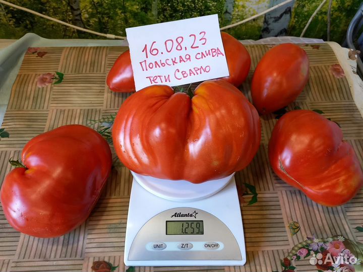 Помидоры Гиганты