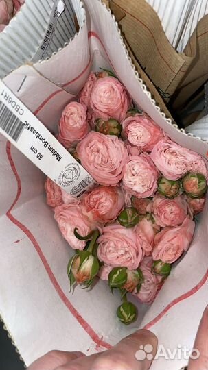 Розы кустовые, готовые букеты, цветы, розы