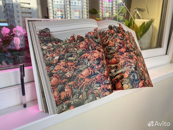 Книга альбом о современном искусстве «Ai Weiwei»