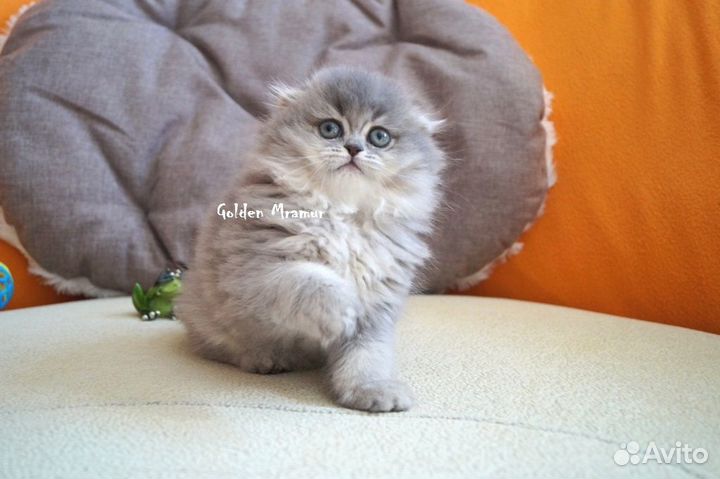 Супер ласковая девочка