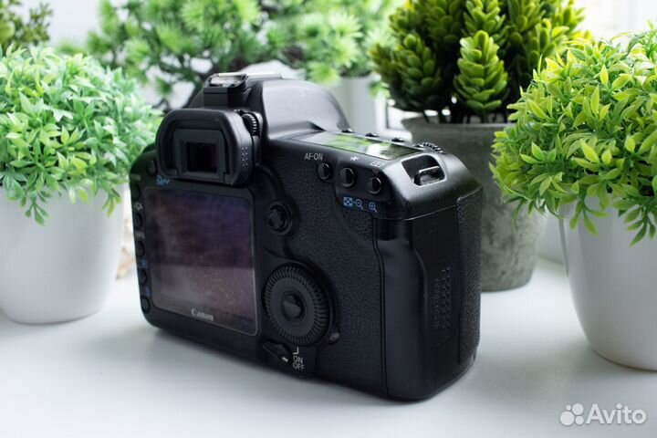 Canon 5d mark ii body