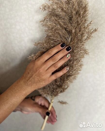 Маникюр. Педикюр